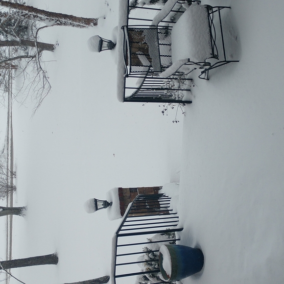 Tennessee Snow ❄️ 1/6/2022 - Picture 6 of 7